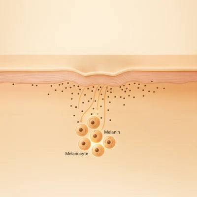 Glorward Hair Removal Mousse